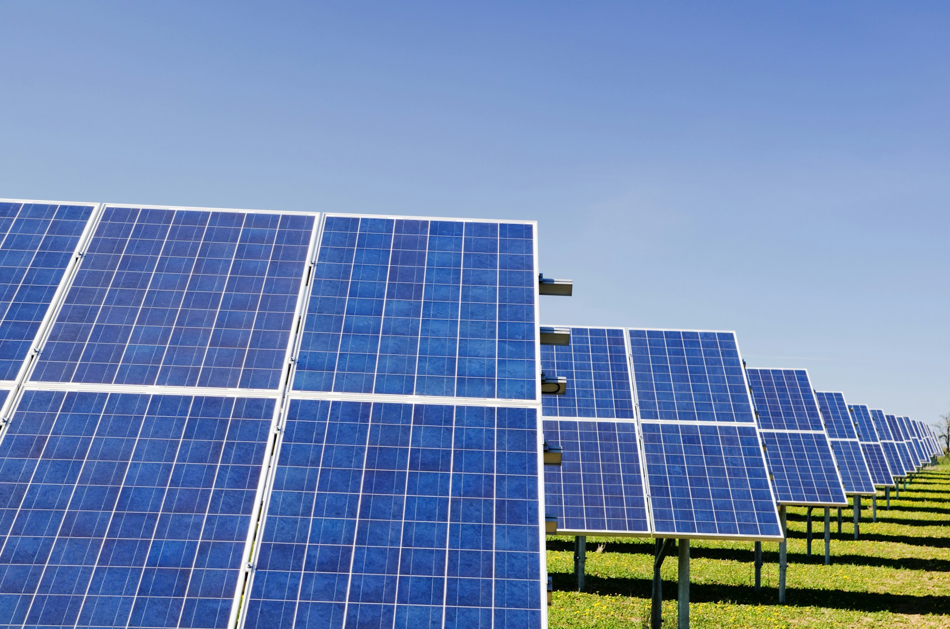 Blogartikel_Erneuerbare_Energien_Solarenergie Solarkollektoren auf einem Feld.